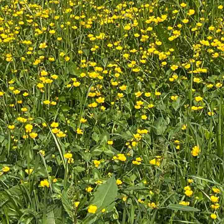 Amici  di Chicco Sardu😁 Chicco!🥇🍷7🏆👍😉 post image