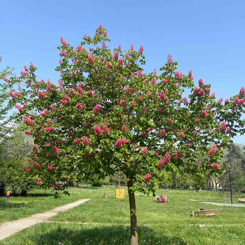 Amici  di Chicco Sardu😁 Chicco!🥇🍷7🏆👍😉 post image