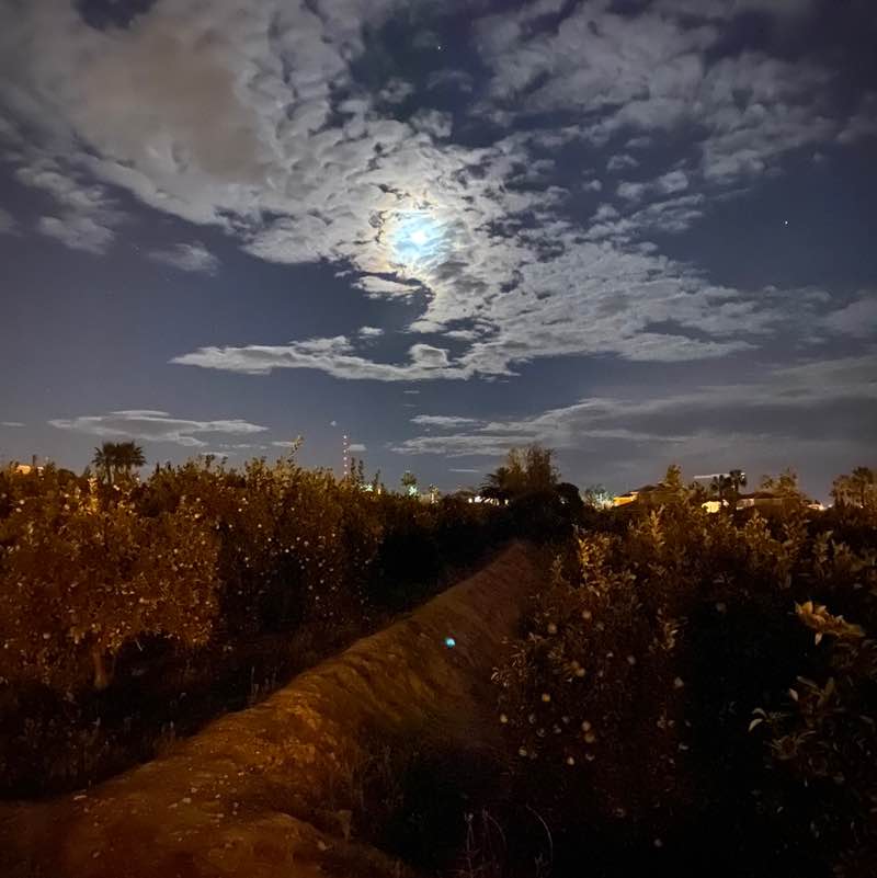 larisavinogradova 🏔 🇷🇺🇪🇸 post 2