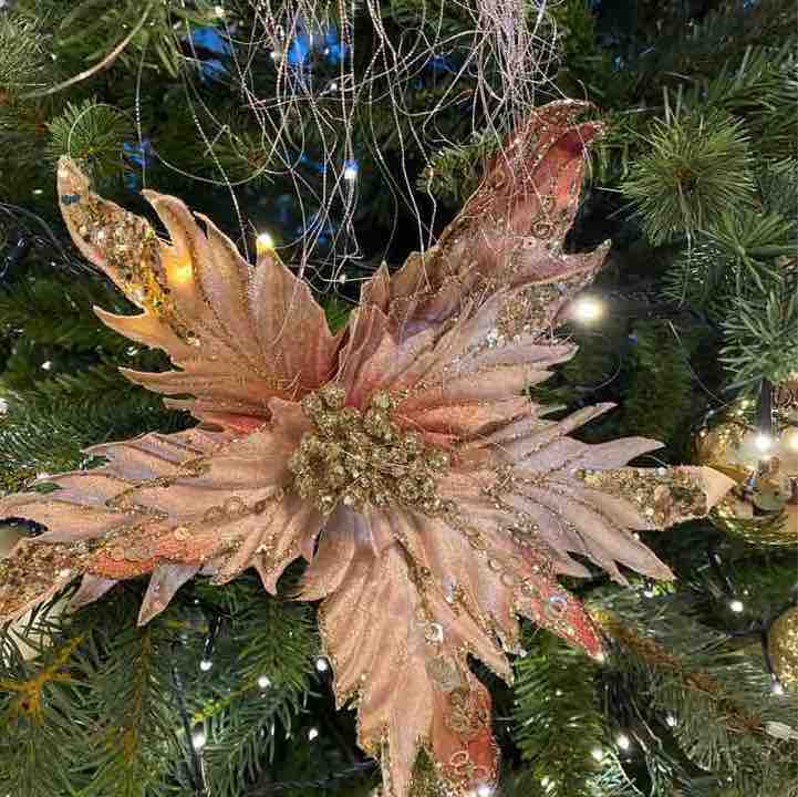 larisavinogradova 🏔 🇷🇺🇪🇸 post 2