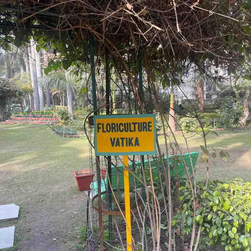 🌀~Pratik ©️~ post 3