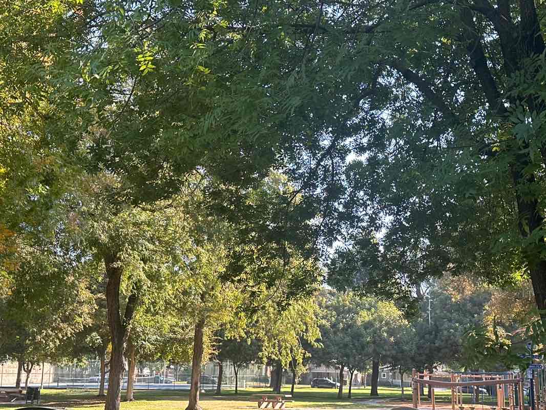 walking near me in Graceada Park in autumn
