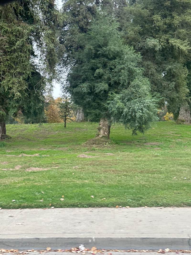 walking near me in Donnely Park in winter