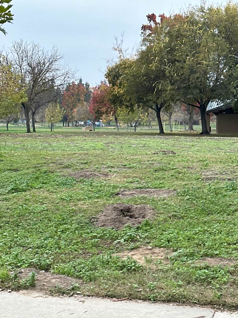 walking near me in Donnely Park in winter
