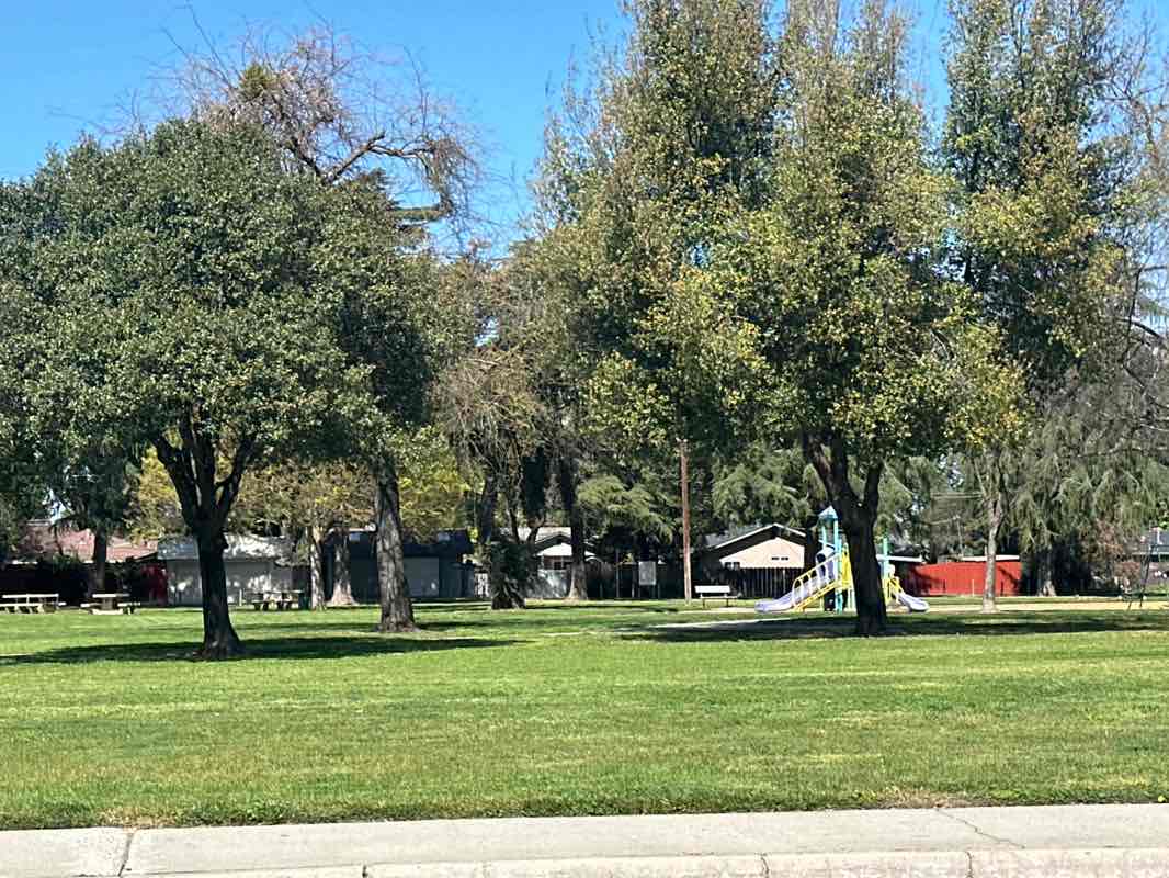 walking near me in Whitmore Park in spring