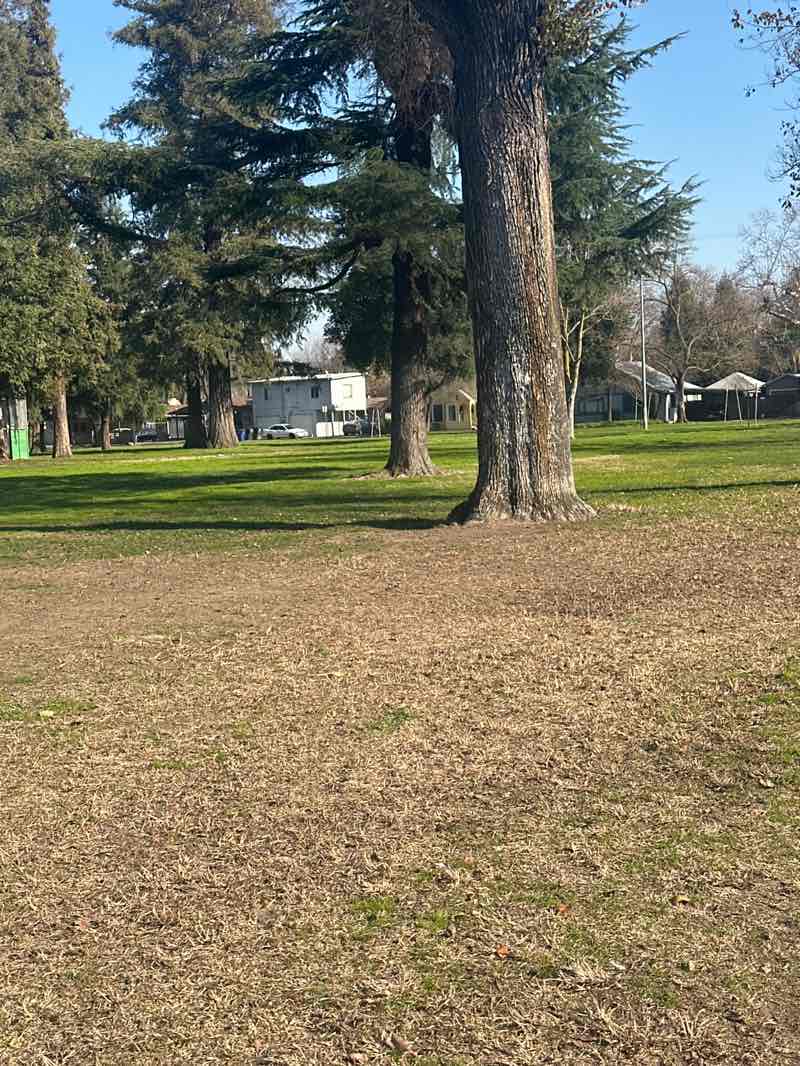 walking near me in Enslen Park in winter