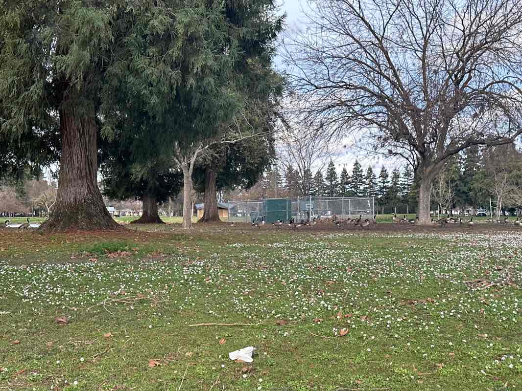 walking near me in Donnely Park in winter