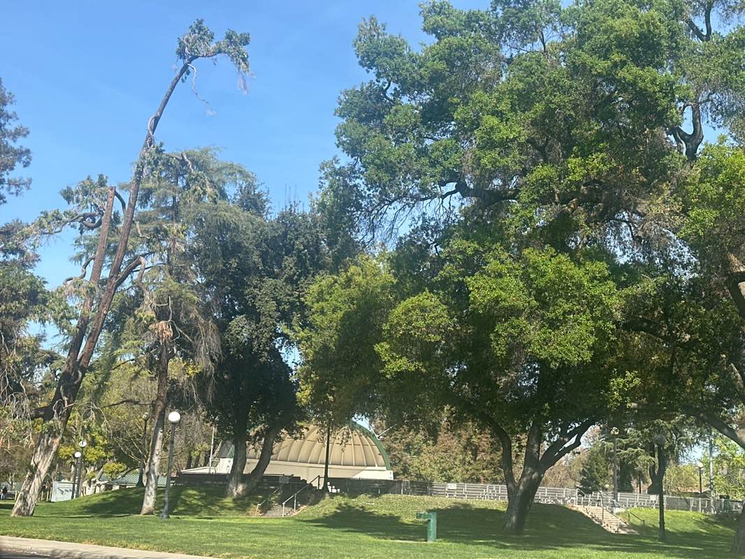 walking near me in Graceada Park in spring
