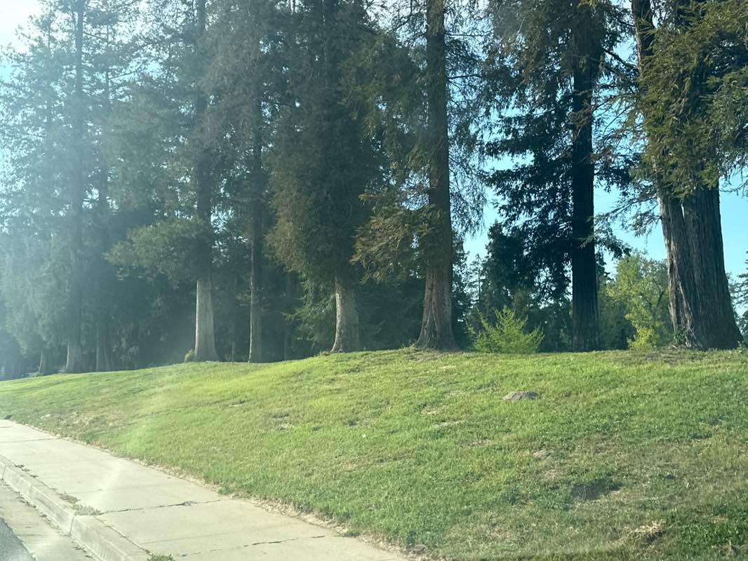 walking near me in Donnely Park in spring