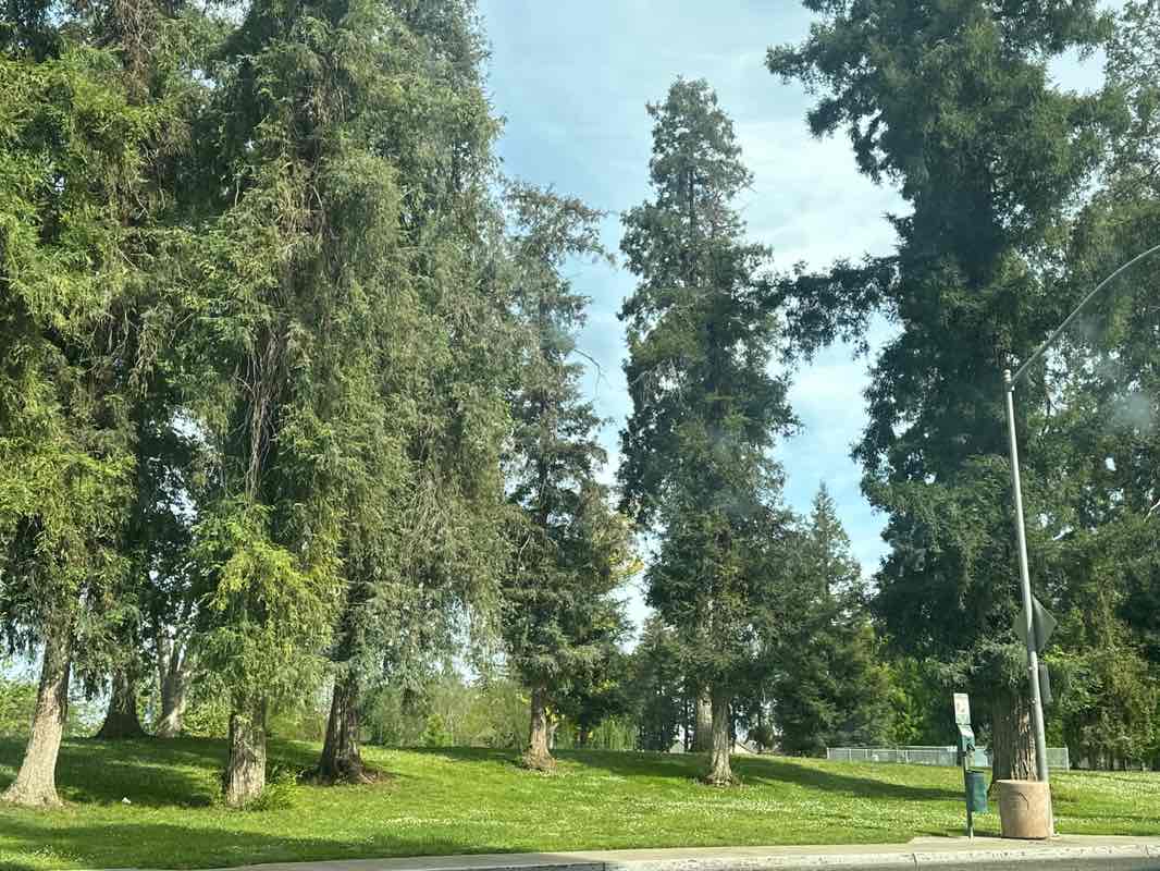 walking near me in Donnely Park in spring
