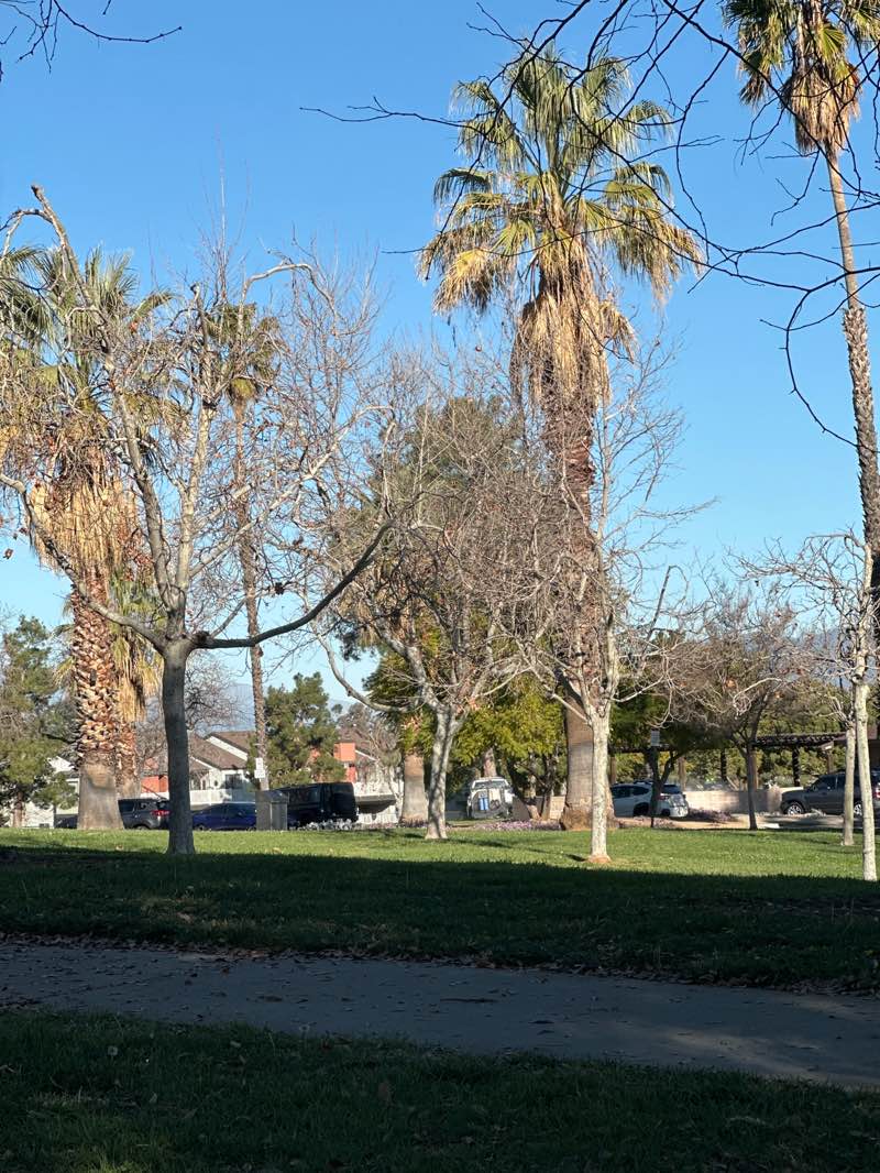 walking near me in Brookside Park in winter