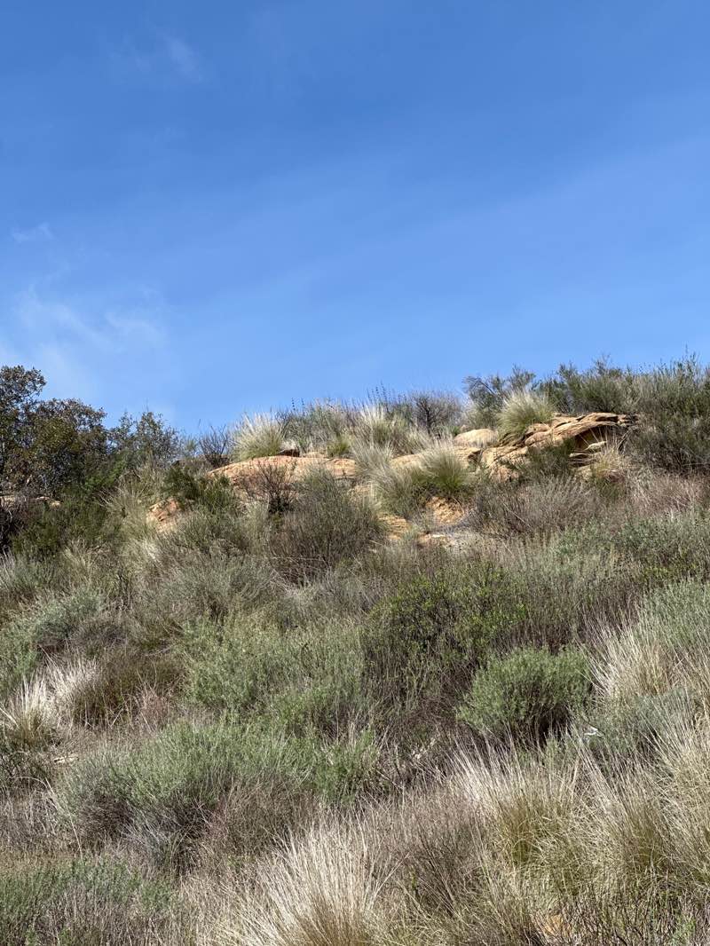 walking near me in Rocky Peak Park in spring