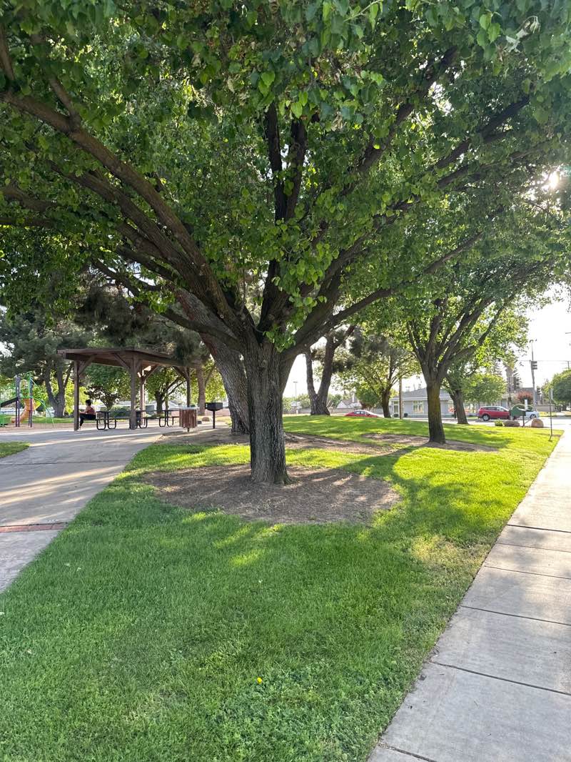 walking near me in Willow Glen Park in spring