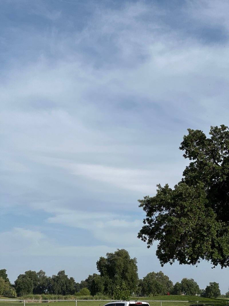 walking near me in Plaza Park in spring