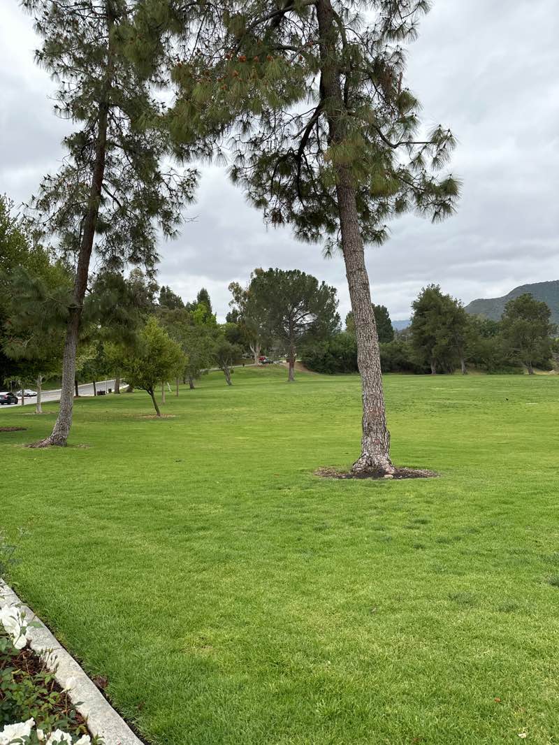 walking near me in Chumash County Park in spring