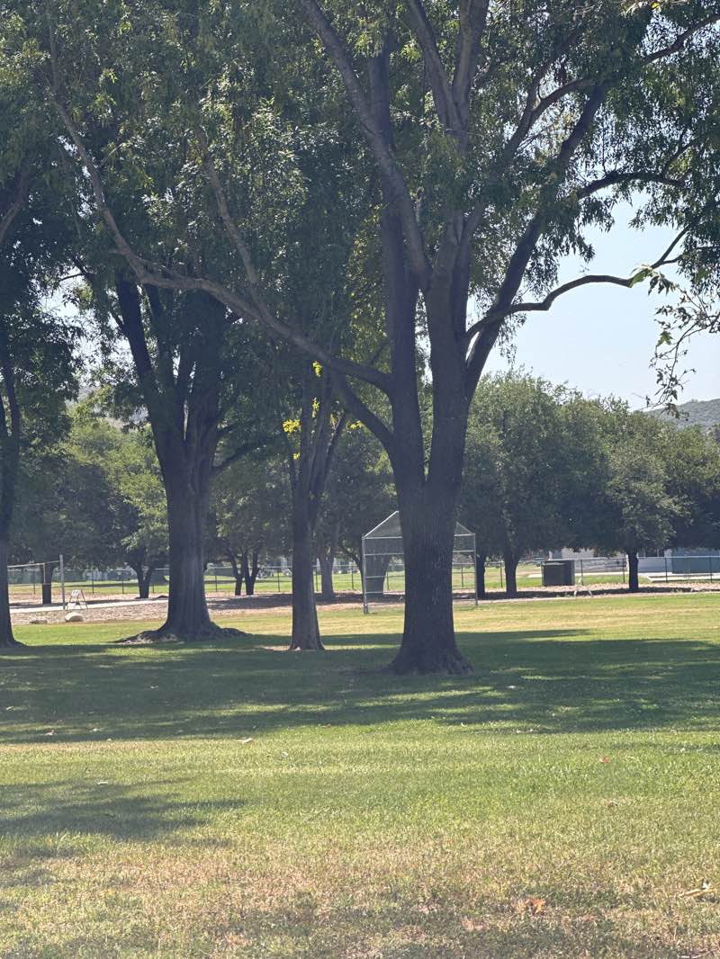 walking near me in Russel Park in spring