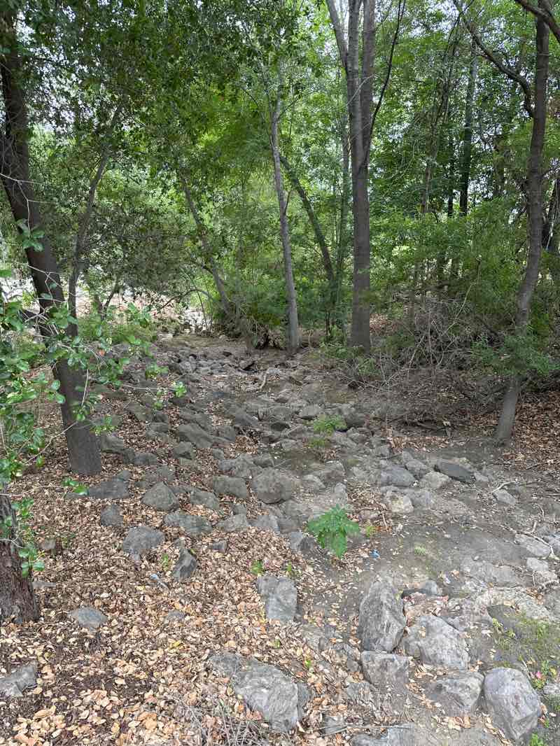 walking near me in Conejo Creek North Park in spring