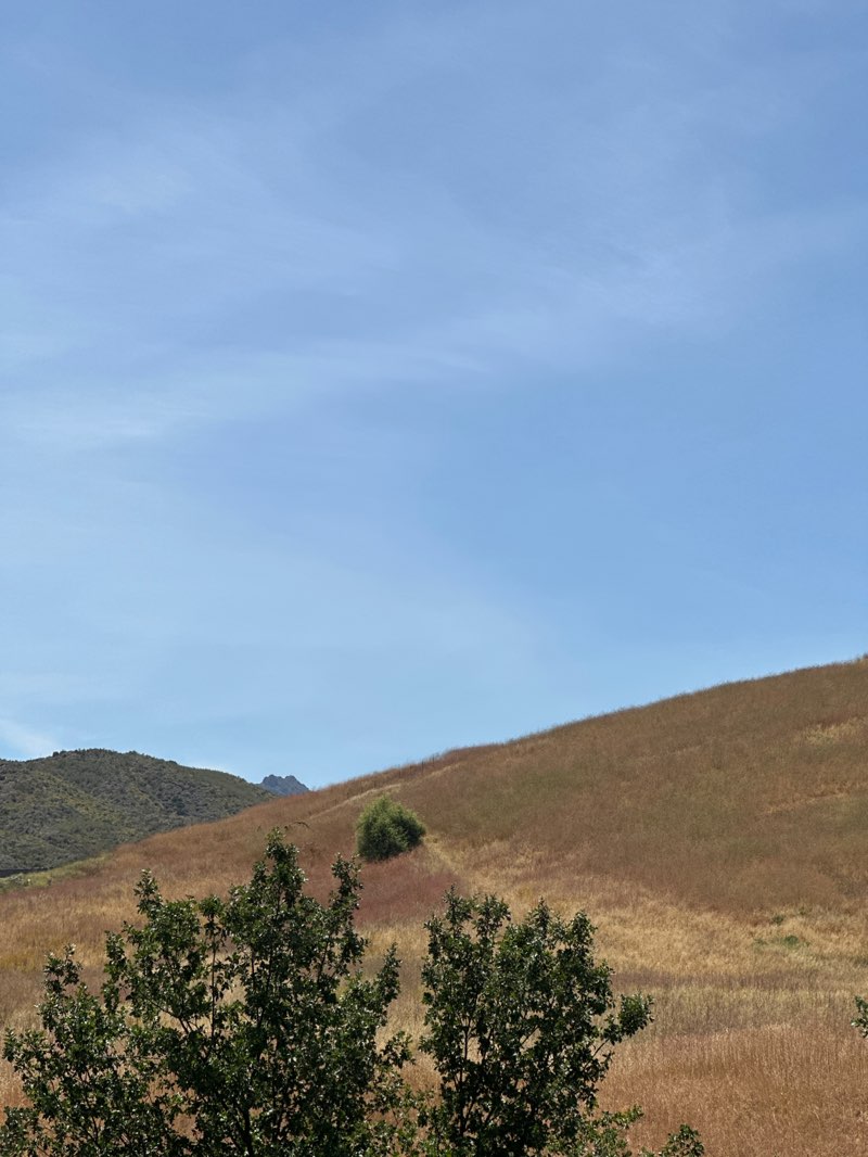 walking near me in Liberty Canyon Open Space in summer