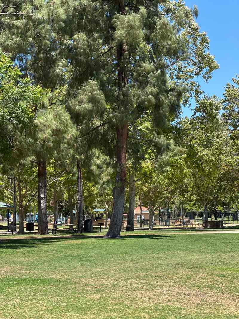 walking near me in Rancho Tapo Community Park in summer