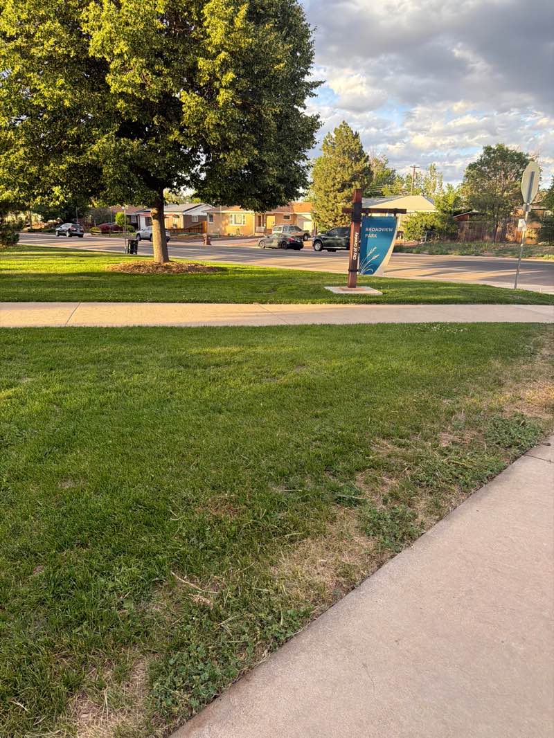 walking near me in Broadview Park in summer