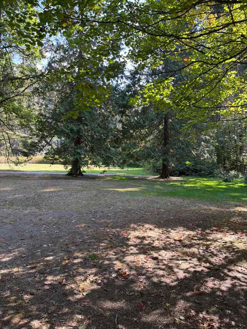 walking near me in Stanley Park in autumn