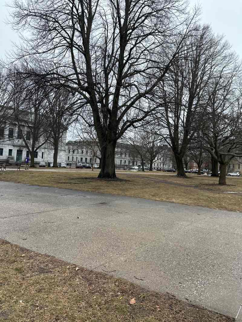 walking near me in Lincoln Park in spring