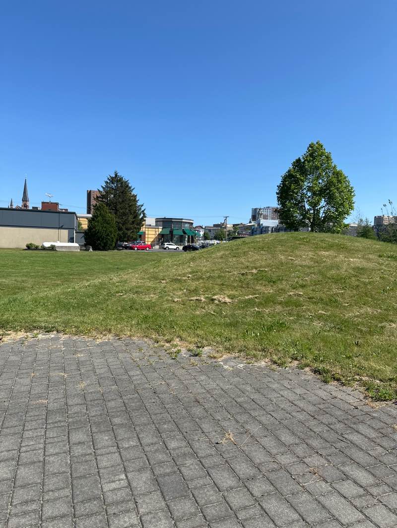 walking near me in Bayside Trail in summer