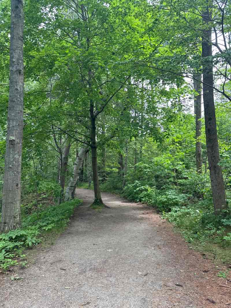 walking near me in Mackworth Island State Park in summer
