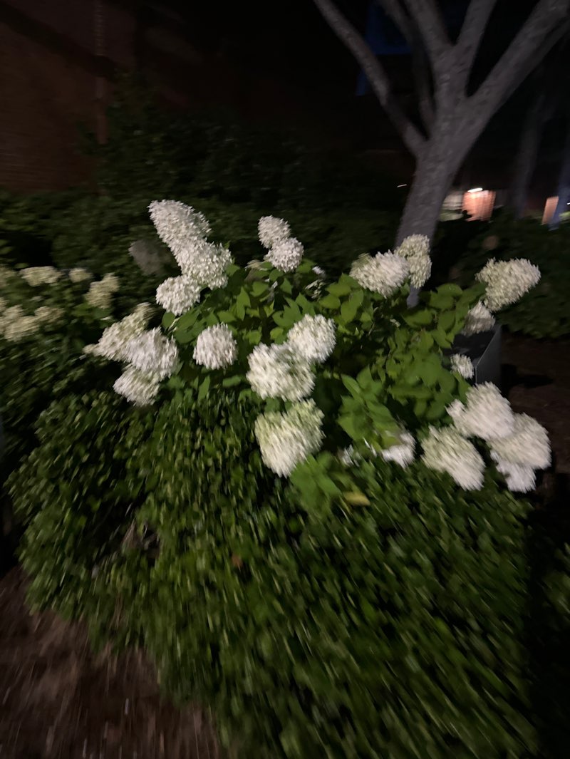 walking near me in Diamond View Park in autumn