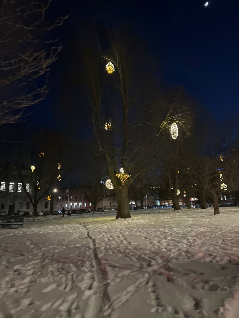 walking near me in Lincoln Park in winter