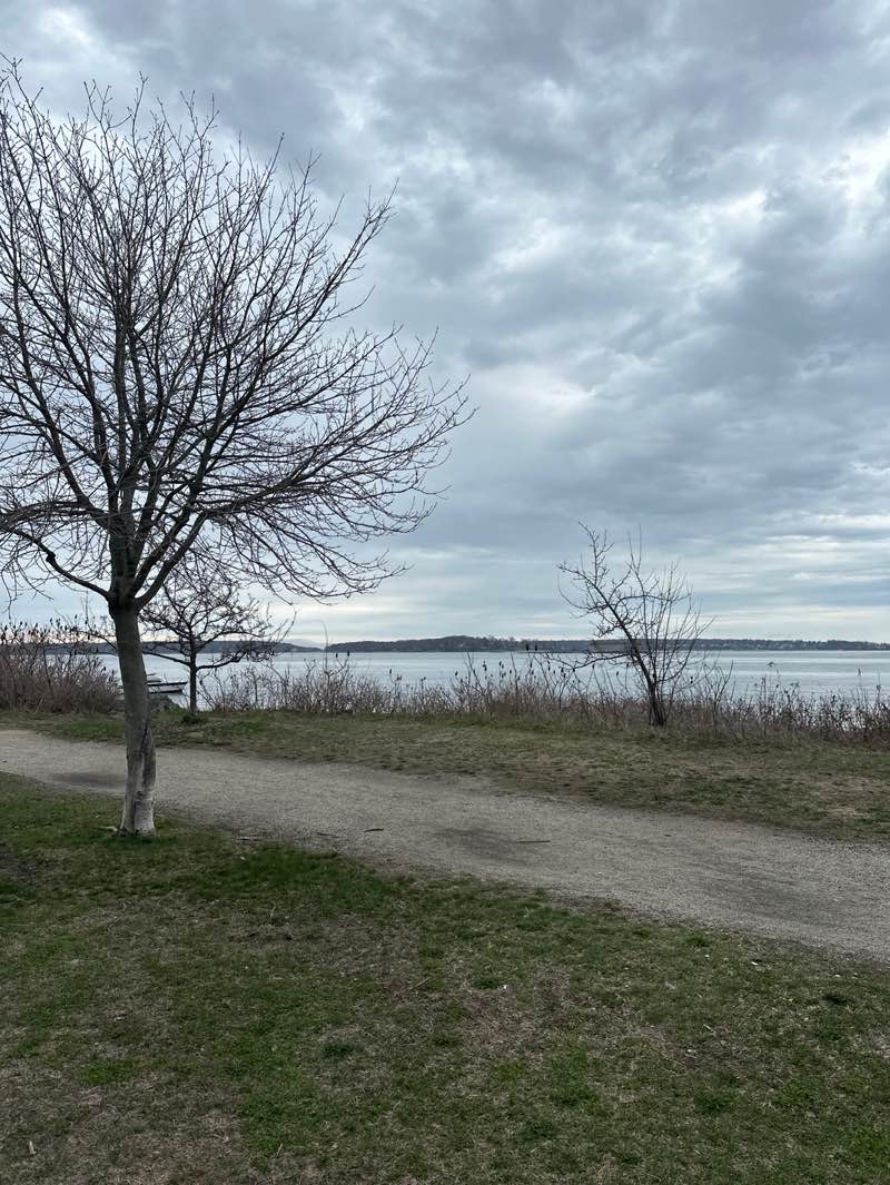 walking near me in Eastern Promenade in spring