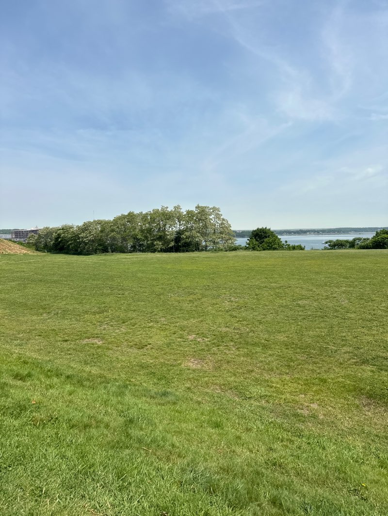 walking near me in Eastern Promenade in summer