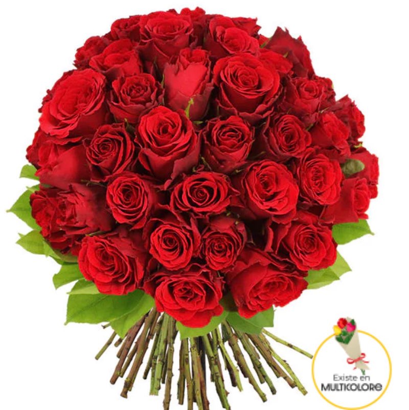 norak🌹☀️ profile