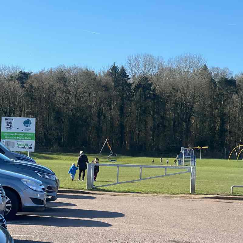 Elena Madalina post 1