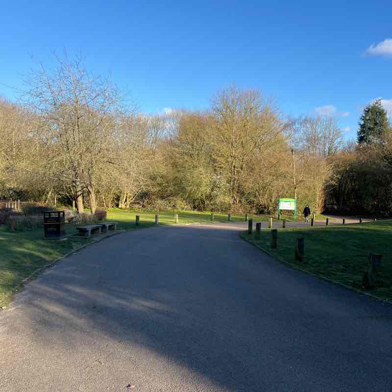 Elena Madalina post 1