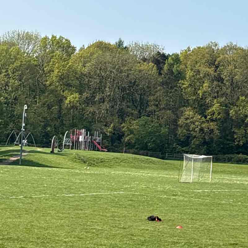 Elena Madalina post 1