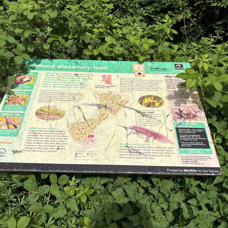 Elena Madalina post 2