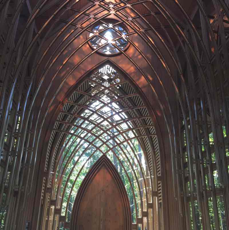 Laufen macht Spaß dkanter08🌺🌸🌺 post image