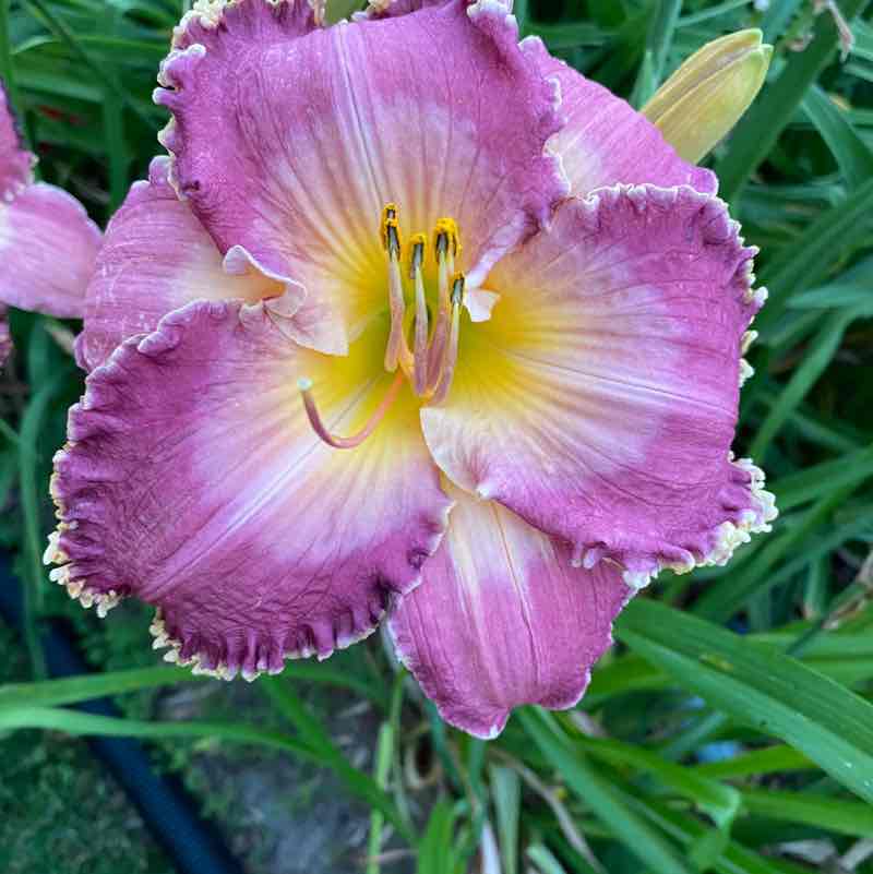 Laufen macht Spaß dkanter08🌺🌸🌺 post image