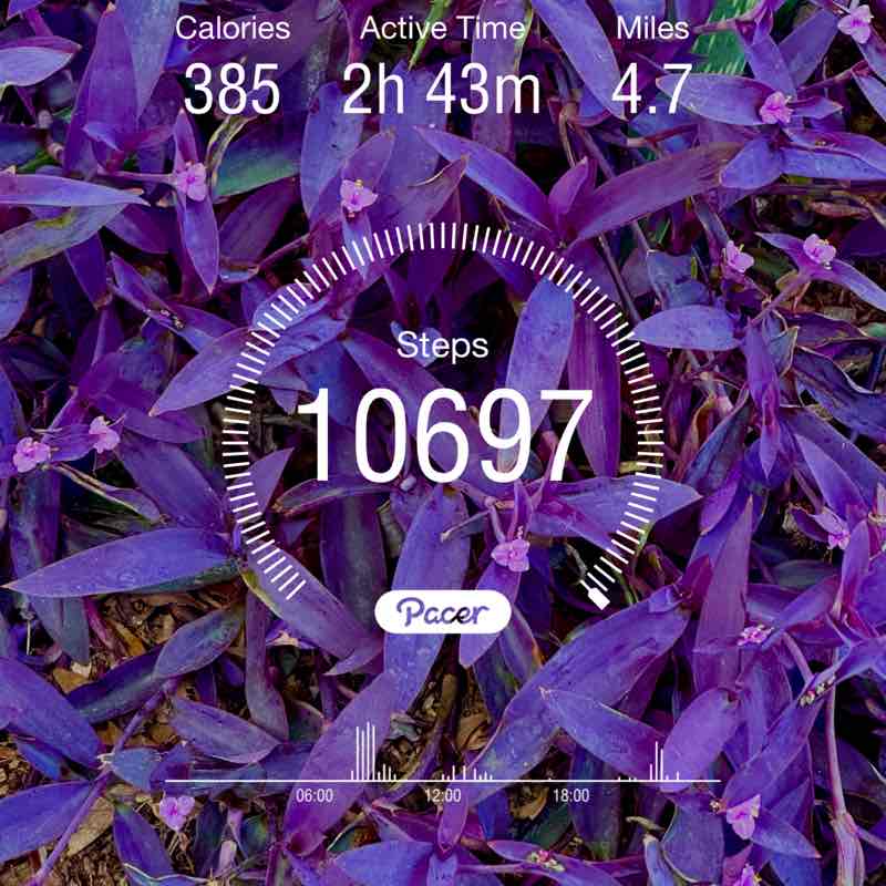 PacerGuy_1964 post 1