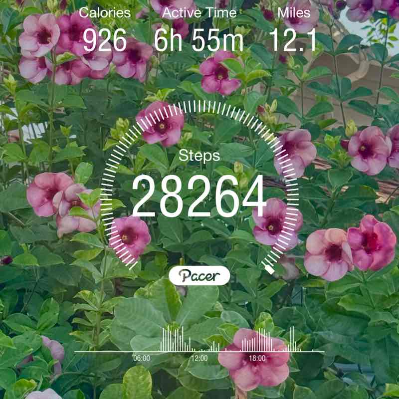 PacerGuy_1964 post 1