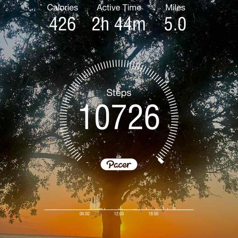 PacerGuy_1964 post 1