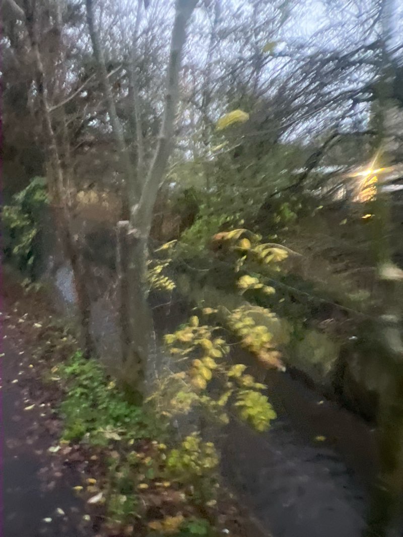 walking near me in Florence Park in autumn