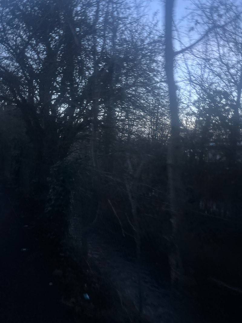 walking near me in Florence Park in winter