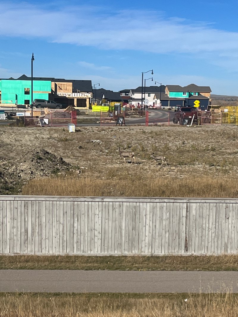 walking near me in Riverside Community Park in winter