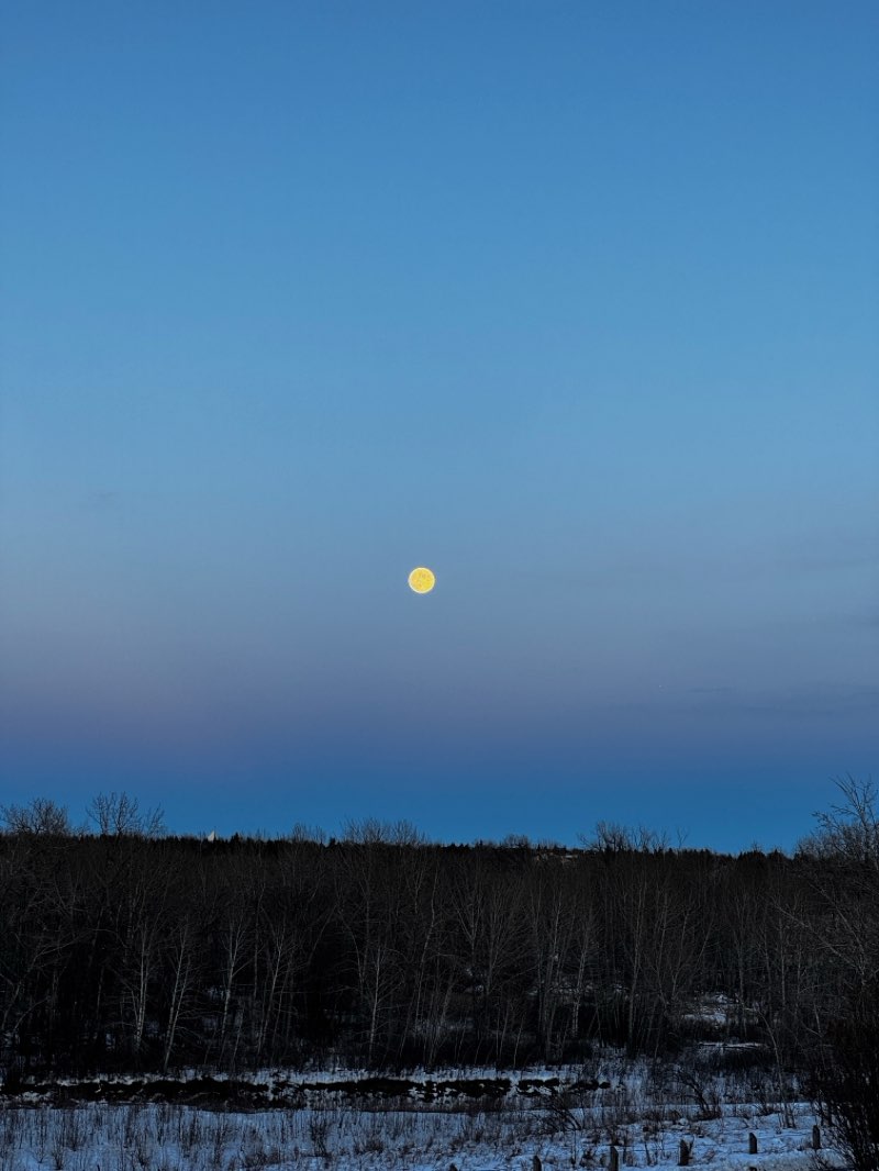 walking near me in Quorn Ranch Park in winter