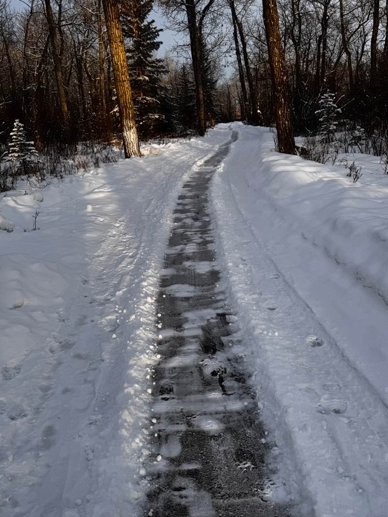walking near me in Ethel Tucker Park in winter