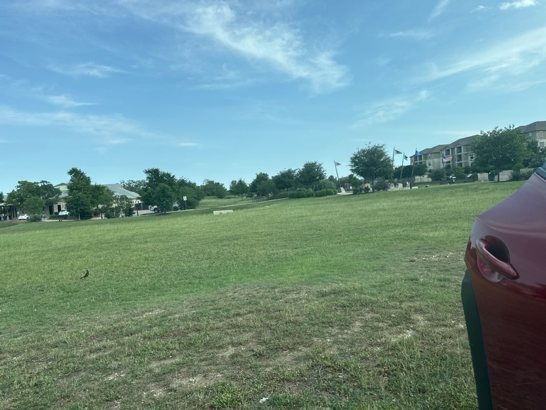 walking near me in Veterans Park in spring