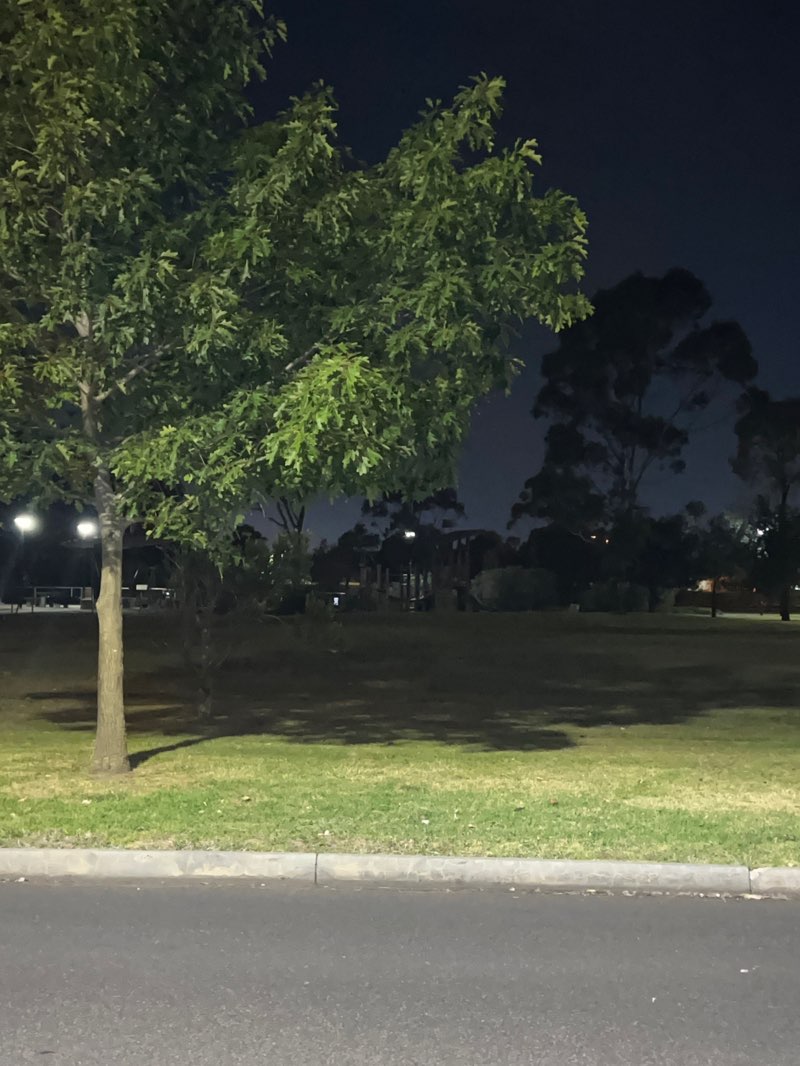 walking near me in Ron Andrews Park in summer