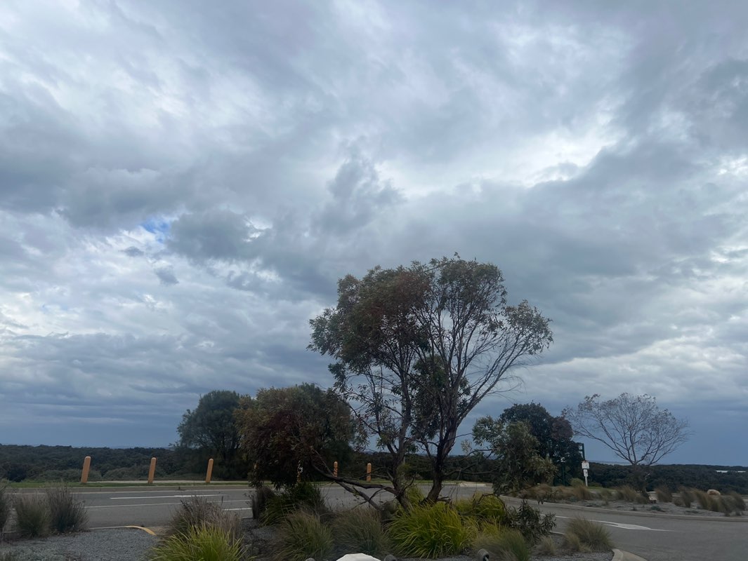 walking near me in North Western Port Nature Conservation Reserve in spring